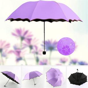Met Water Begin Bloom Women Magic Sun Fold Umbrellas for Rain/Colour Changing Wet Flower Umbrella